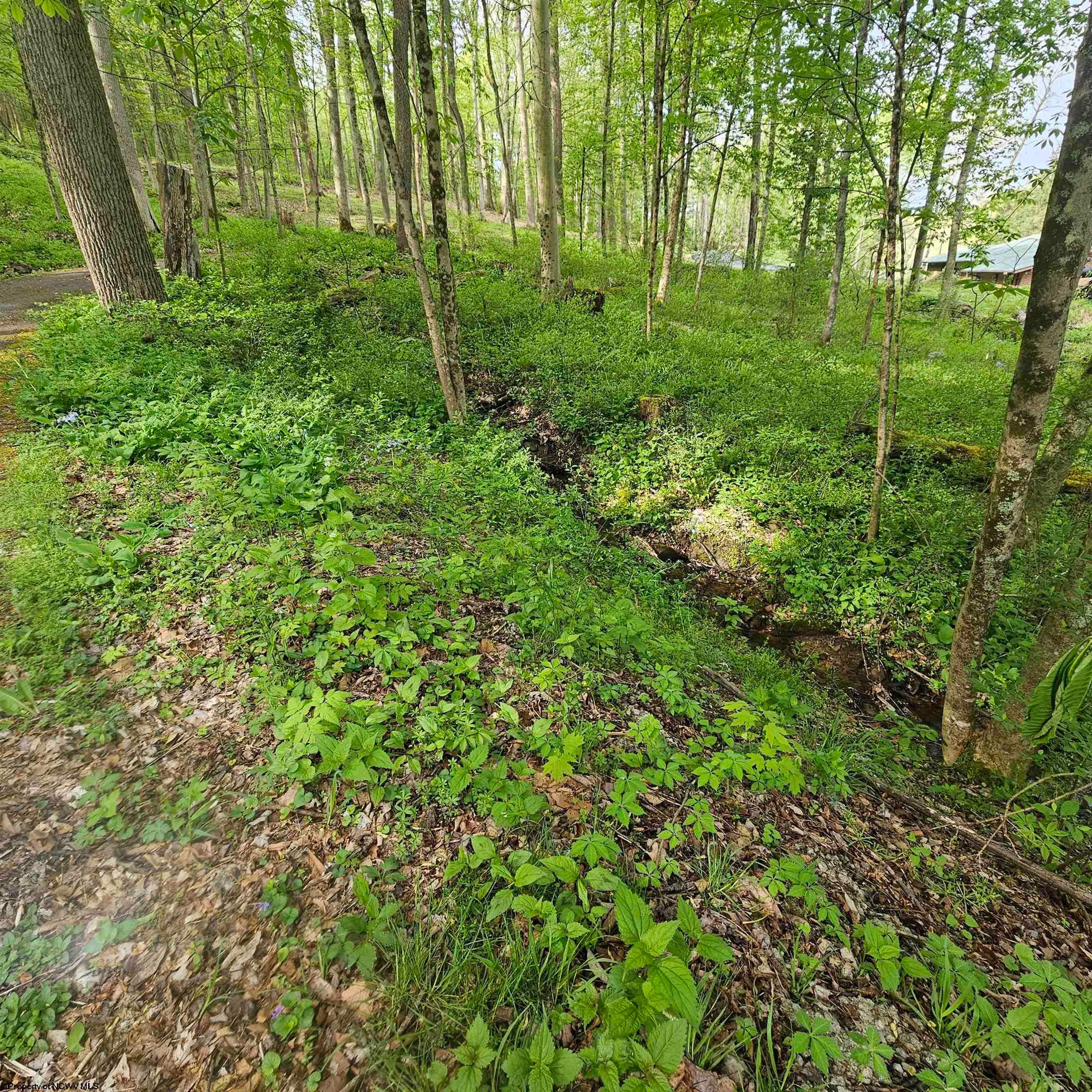 54 Lakeside Road Terra Alta, WV 26764 - Photo 35 of 38 Gallery Image 35
