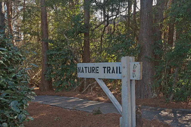 a view of a street sign under a large tree