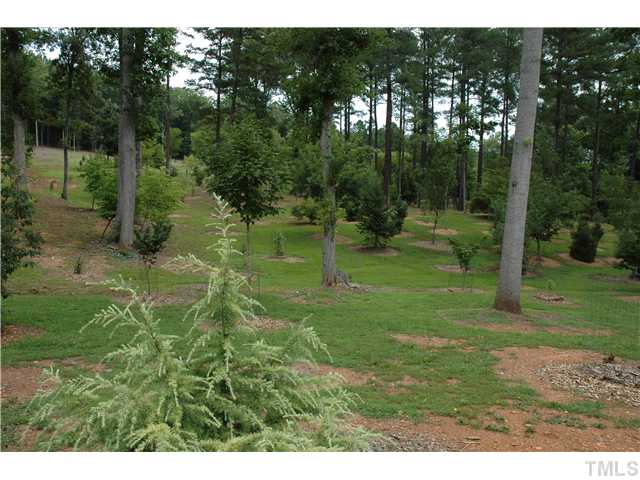 2131 Marions Ford Road Chapel Hill, NC 27516 - Photo 11 of 25