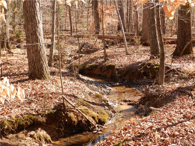 2131 Marions Ford Road Chapel Hill, NC 27516 - Photo 14 of 25 A fine creek with mature trees flows behind the arboretum.