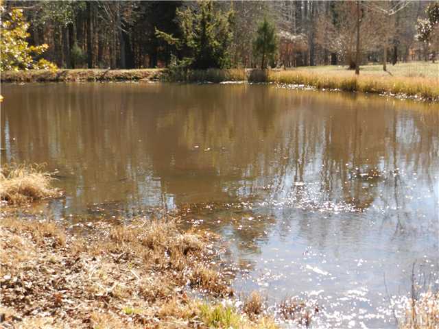 2131 Marions Ford Road Chapel Hill, NC 27516 - Photo 7 of 25 Healthy farm pond.