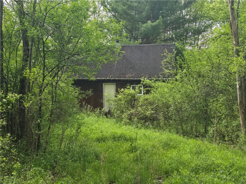 0 Ruttin Road Scio, NY 14880 - Photo 16 of 29