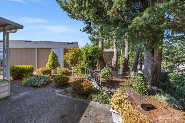 a view of a backyard with potted plants and large trees