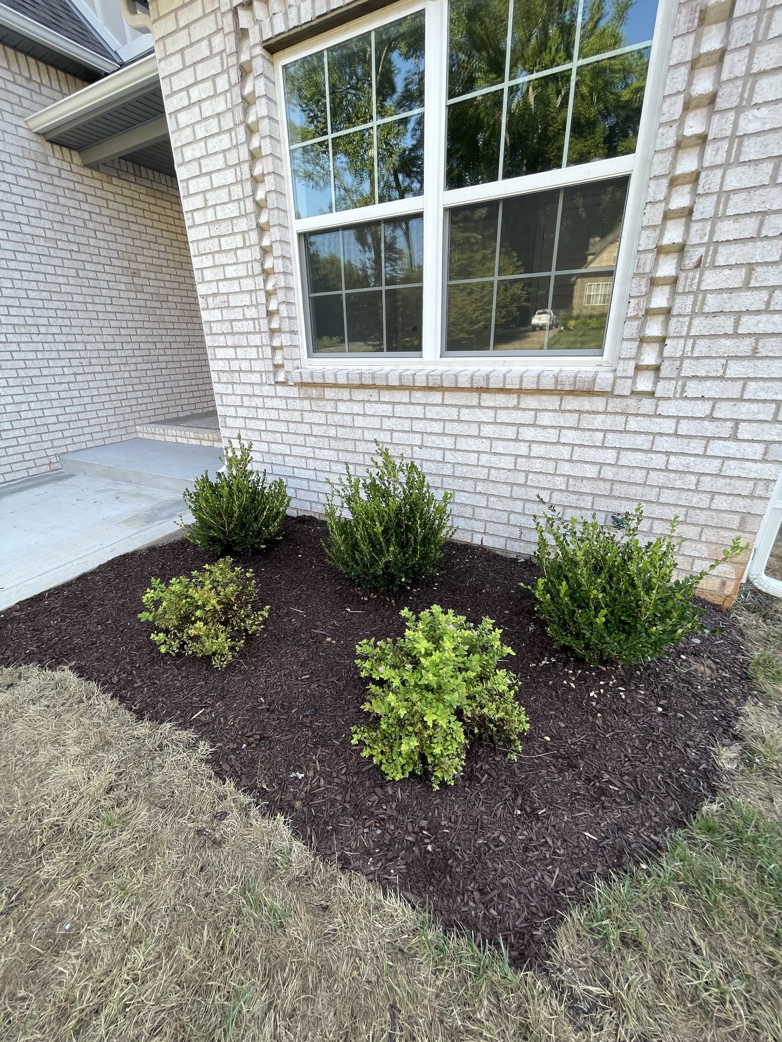 4422 Memory Lane Adams, TN 37010 - Photo 5 of 28 Gallery Image 5