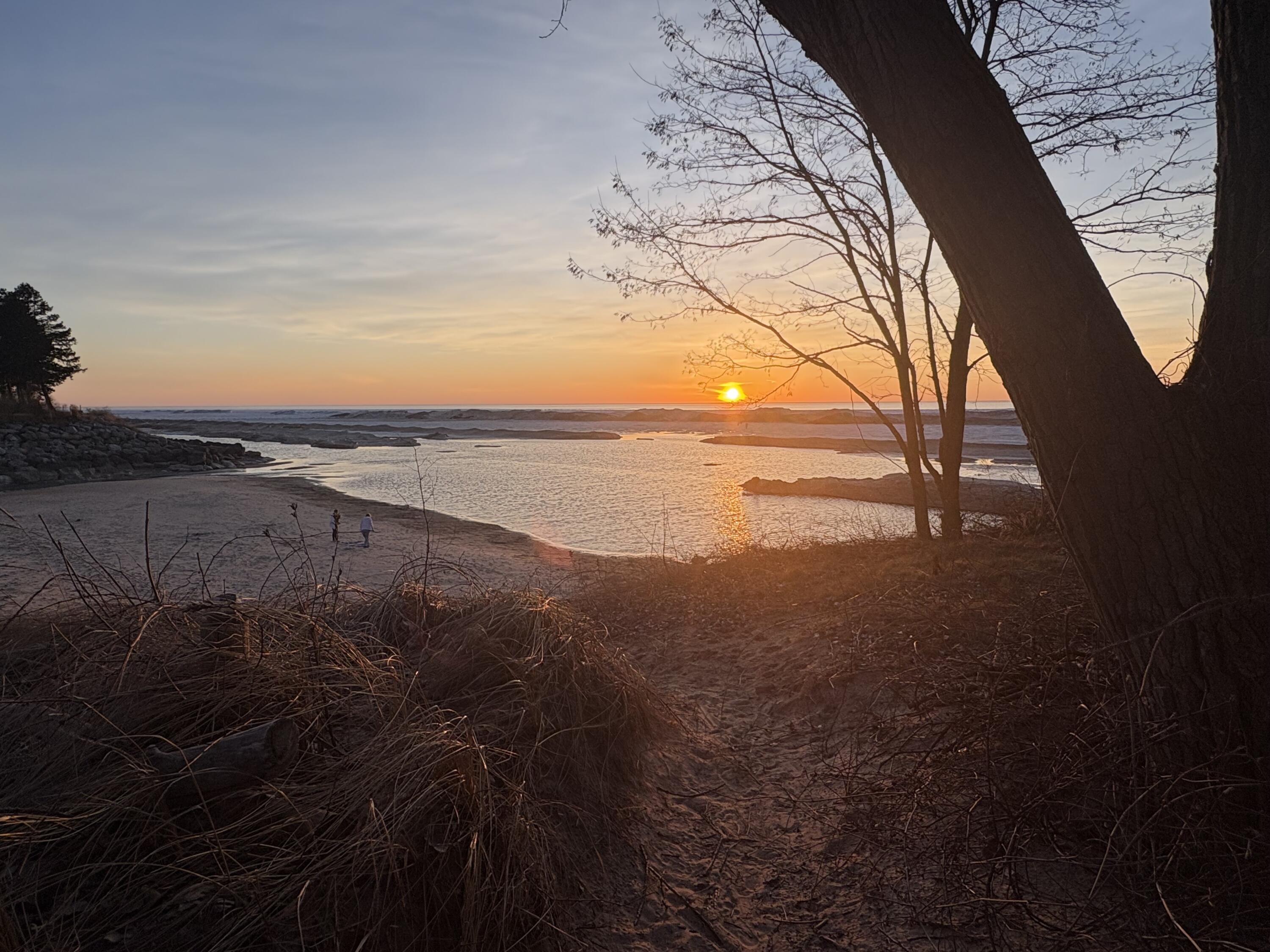 5501 Sunset Path Stevensville, MI 49127 - Photo 81 of 87 path