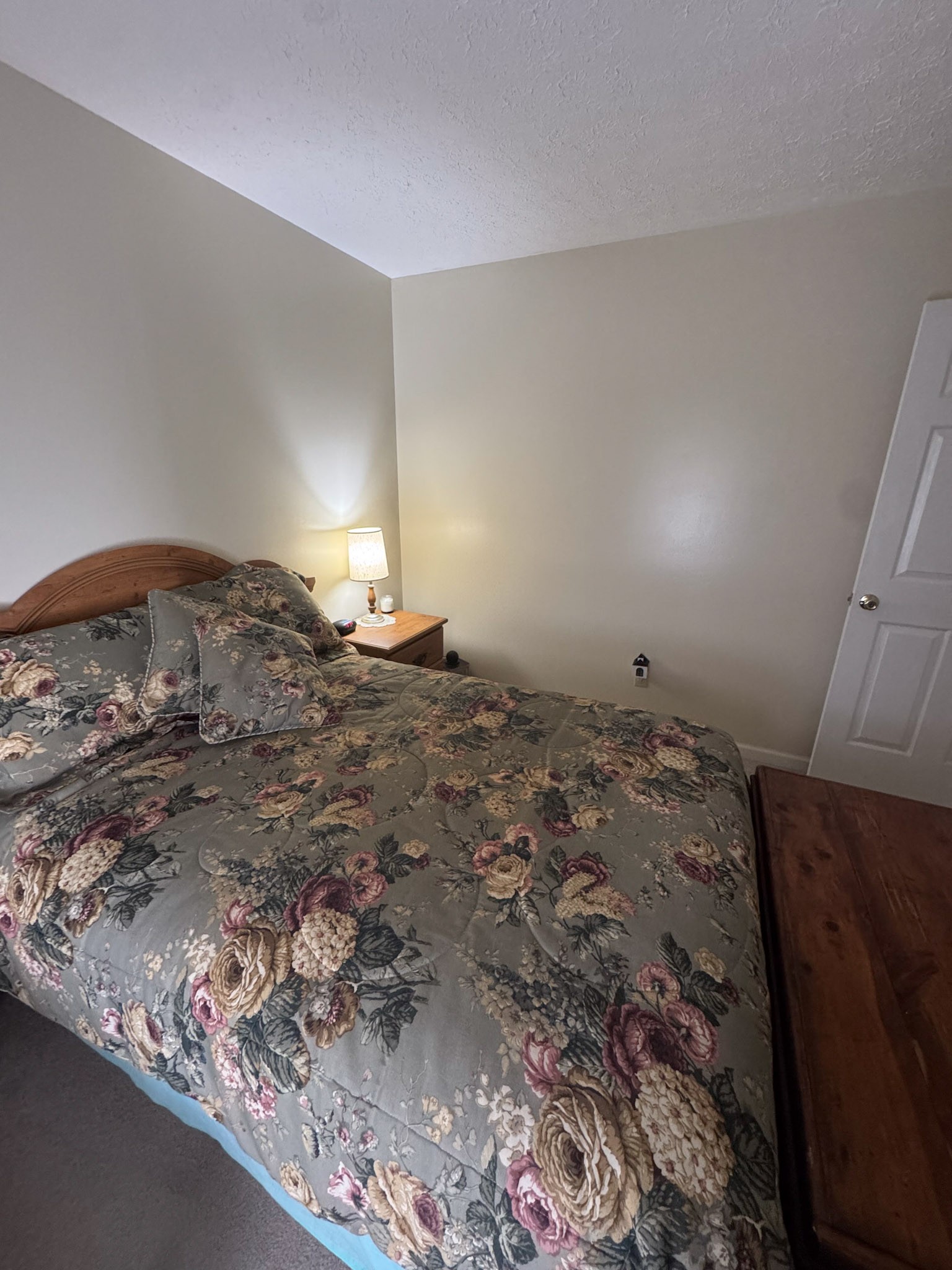5193 Jones Chapel Road Cedar Hill, TN 37032 - Photo 11 of 25 Gallery Image 11