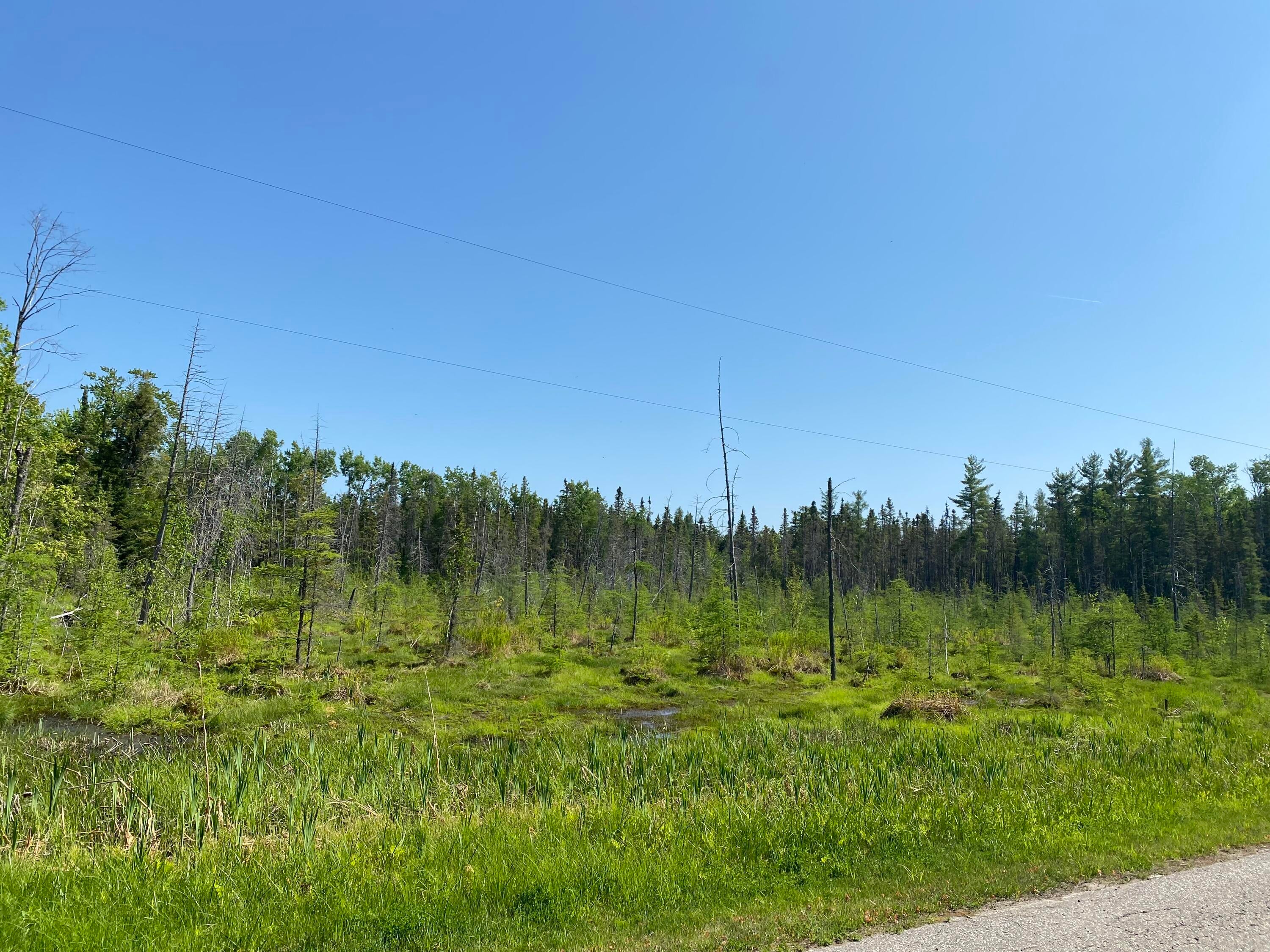 16 East 16 Mile Road Pickford, MI 49774 - Photo 11 of 13 Gallery Image 11