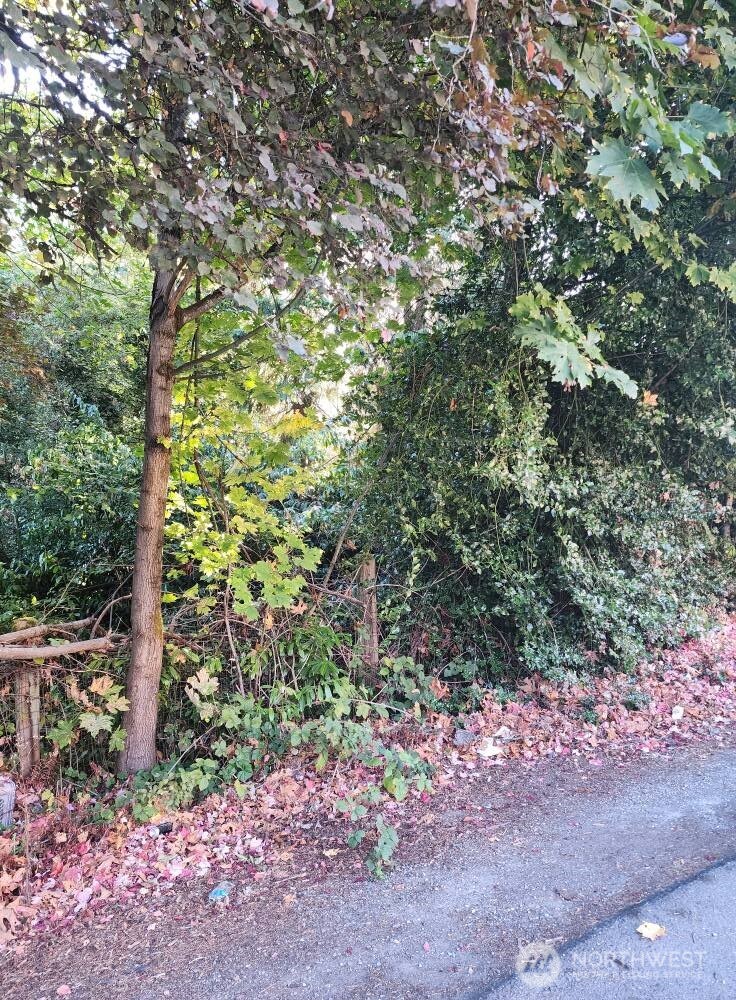 -xx 64th Avenue South Seattle, WA 98178 - Photo 4 of 22 a big yard with lots of plants