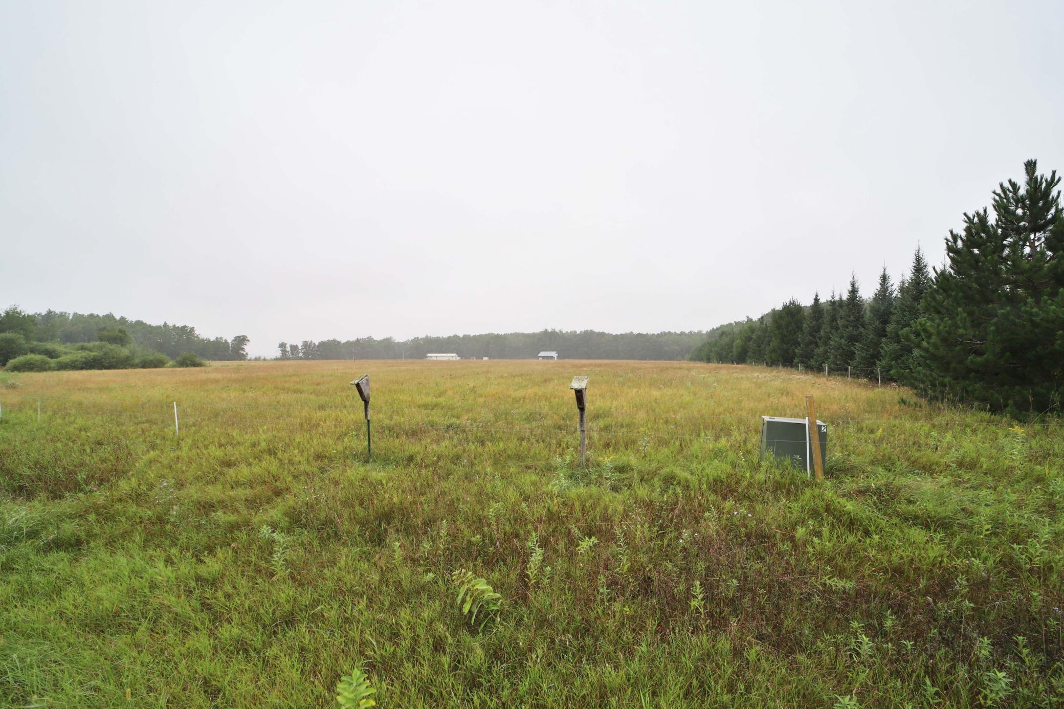 Tbd Mill Road Brainerd, MN 56401 - Photo 11 of 13