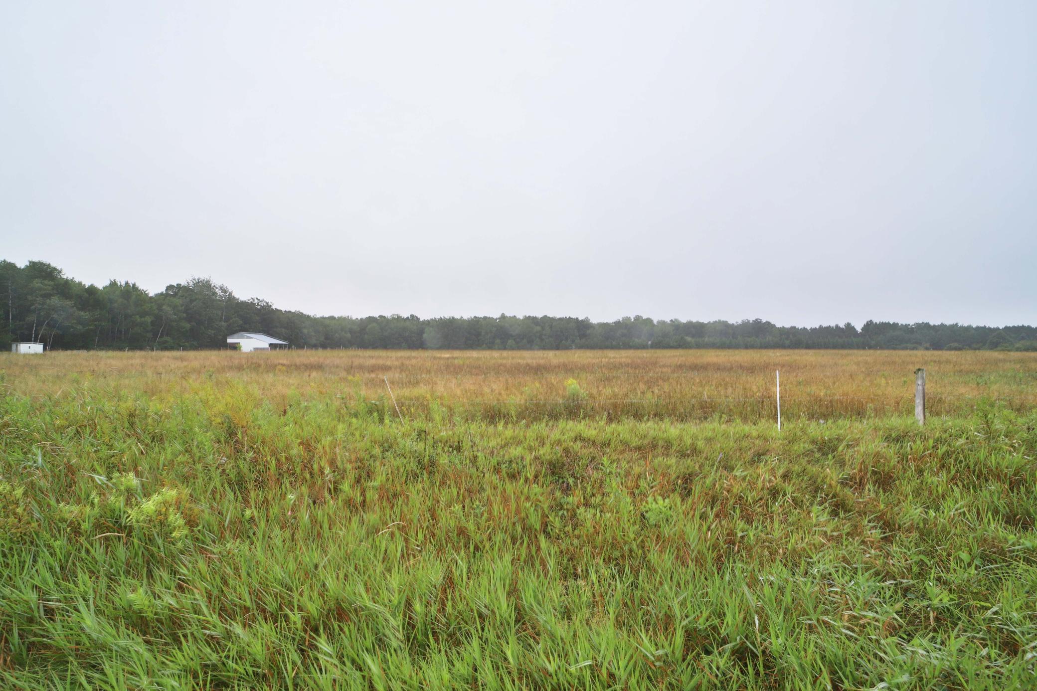 Tbd Mill Road Brainerd, MN 56401 - Photo 4 of 13