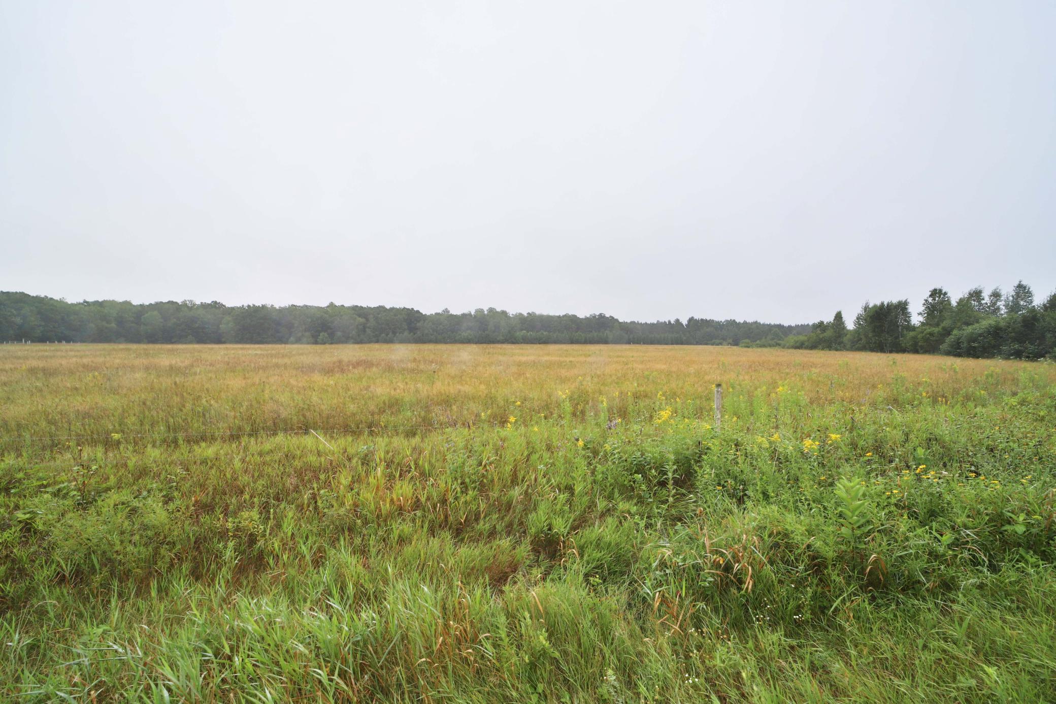 Tbd Mill Road Brainerd, MN 56401 - Photo 5 of 13