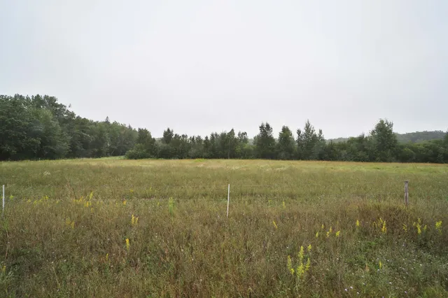 $110,000 | Tbd Mill Road, Brainerd, MN 56401