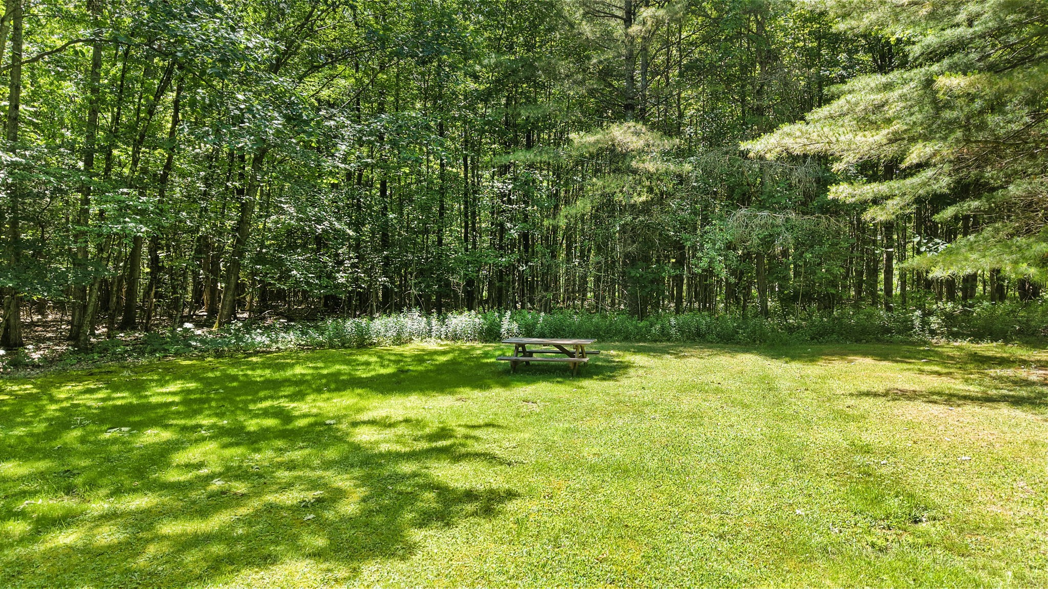 786 Harnecky Road Newark Valley, NY 13811 - Photo 10 of 50
