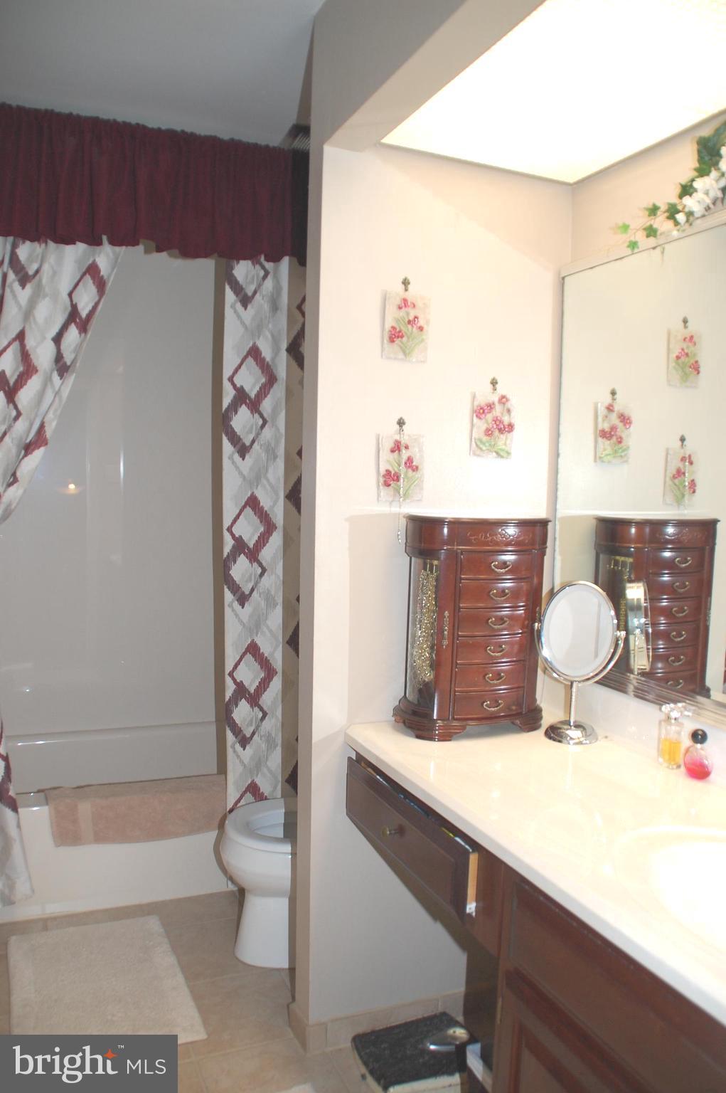 12 Centennial Road Telford, PA 18969 - Photo 26 of 35 Hall Bath with vanity and full tub & shower unit.