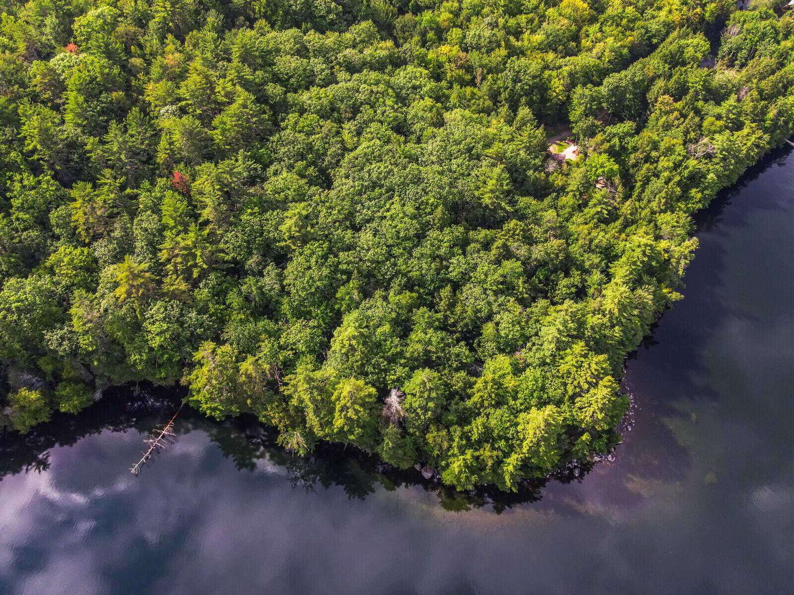 534 Sandy River Road Fayette, ME 04349 - Photo 33 of 36 49_DJI_0364_copy_mls