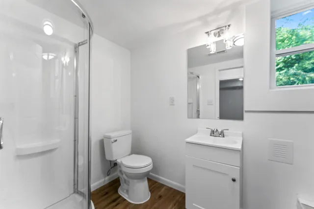 a view of a big yard with plants and large trees