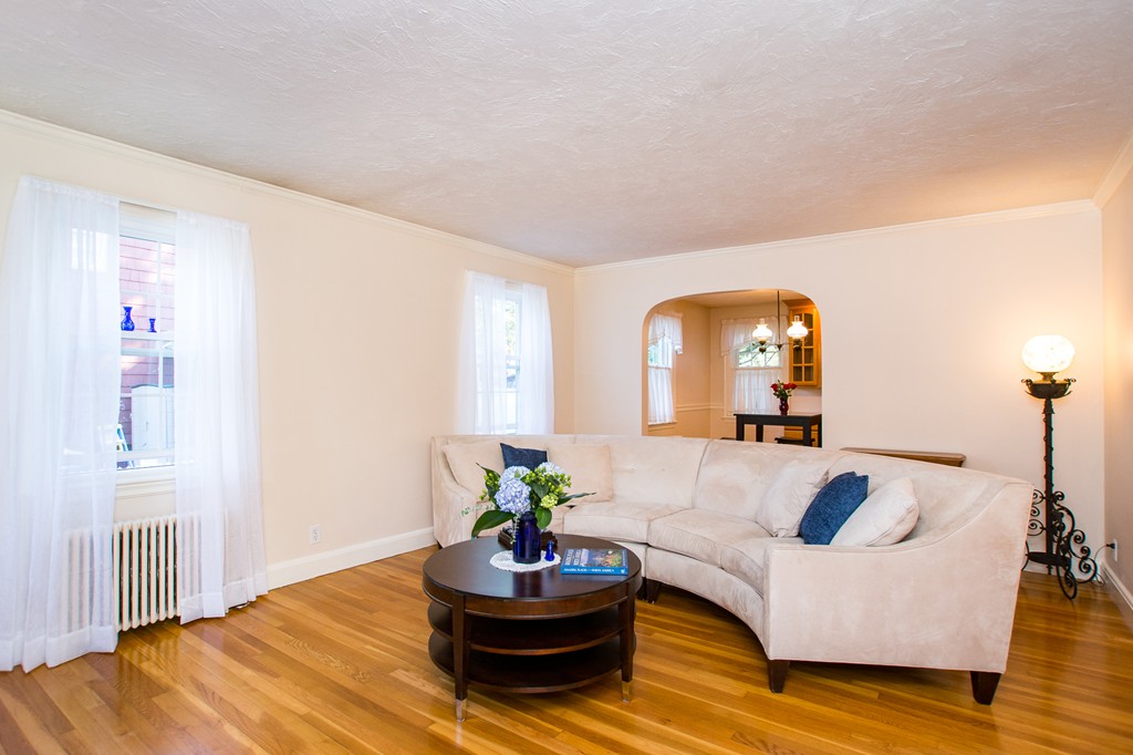 24 Murray Road Newton, MA 02465 - Photo 13 of 30 a living room with furniture and a potted plant