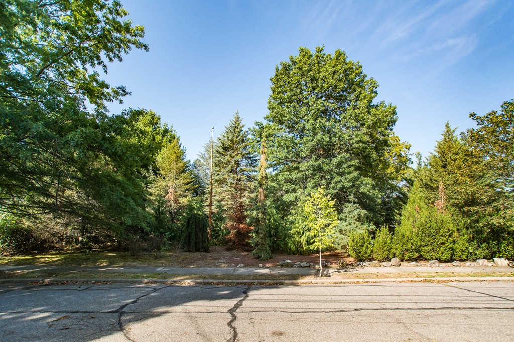 24 Murray Road Newton, MA 02465 - Photo 28 of 30 a view of street with a tree