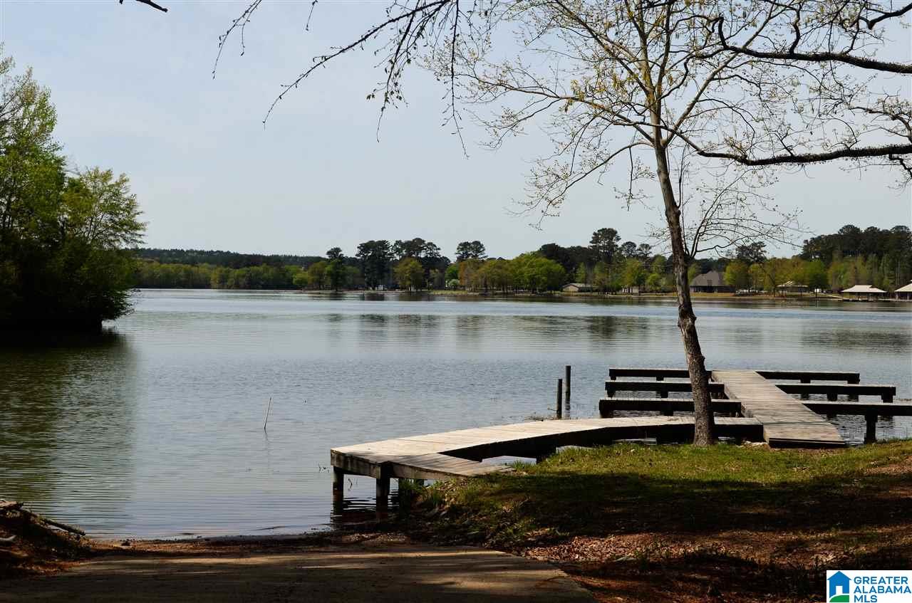 Castaway Road Sylacauga, AL 35151 - Photo 26 of 28