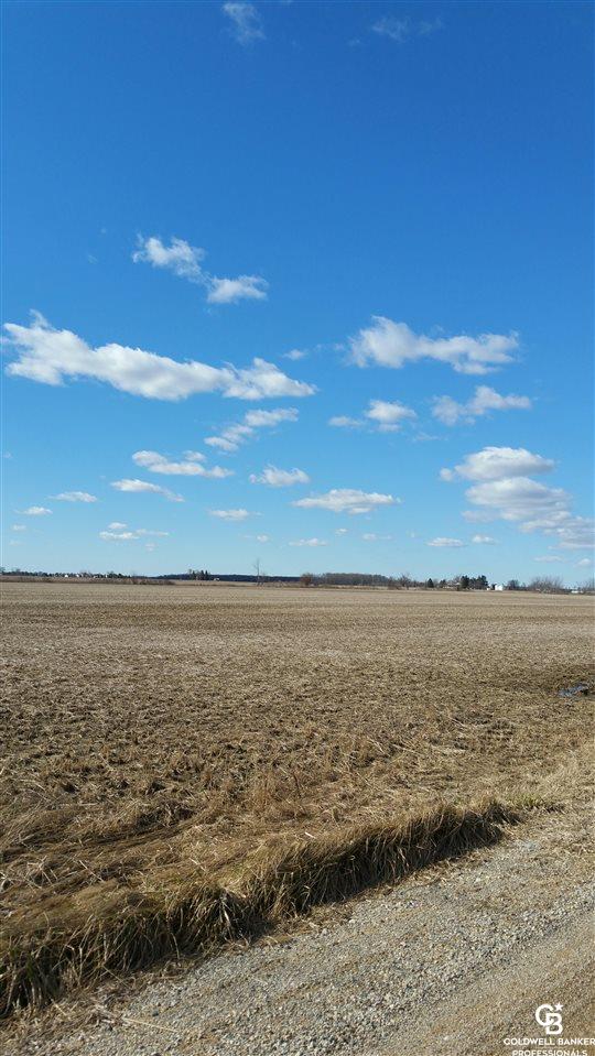 Vacant Land North State/allan Road Owosso, MI 48867 - Photo 3 of 7
