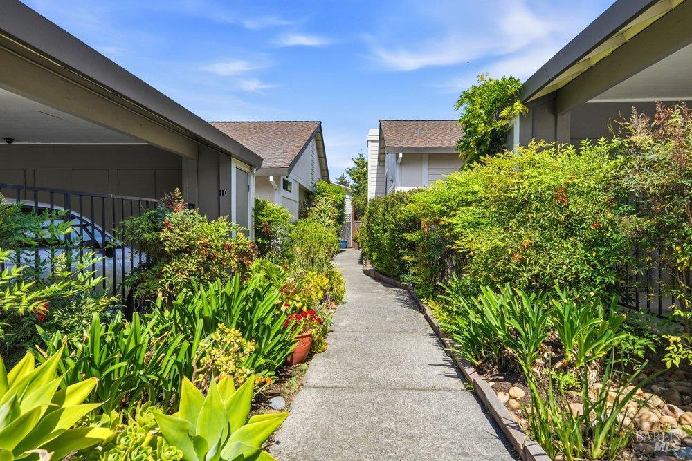 6 Village Court San Rafael, CA 94903 - Photo 4 of 66