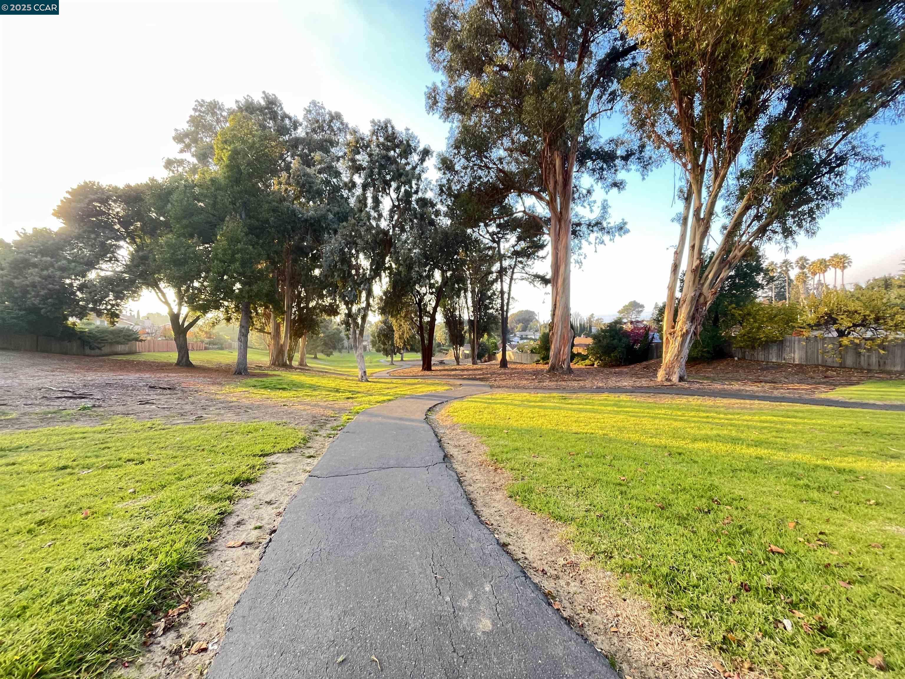 120 Bonita Court Rodeo, CA 94572 - Photo 44 of 49 a view of swimming pool with large trees