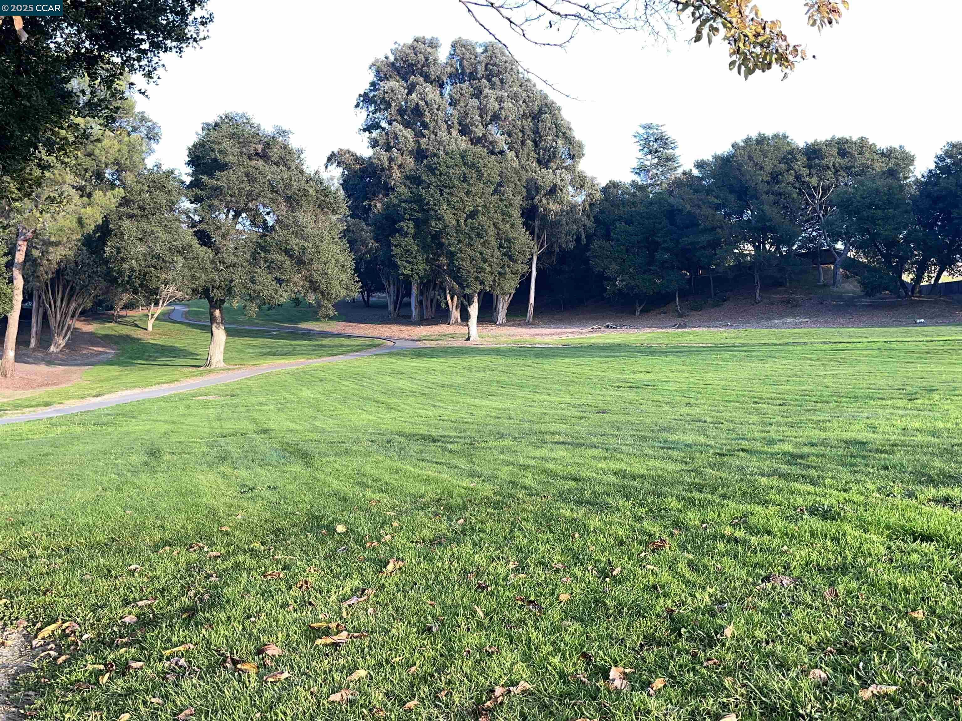 120 Bonita Court Rodeo, CA 94572 - Photo 45 of 49 a view of field with trees in the background
