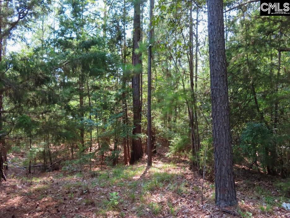 0 Landis Road Winnsboro, SC 29180 - Photo 20 of 83 Gallery Image 20