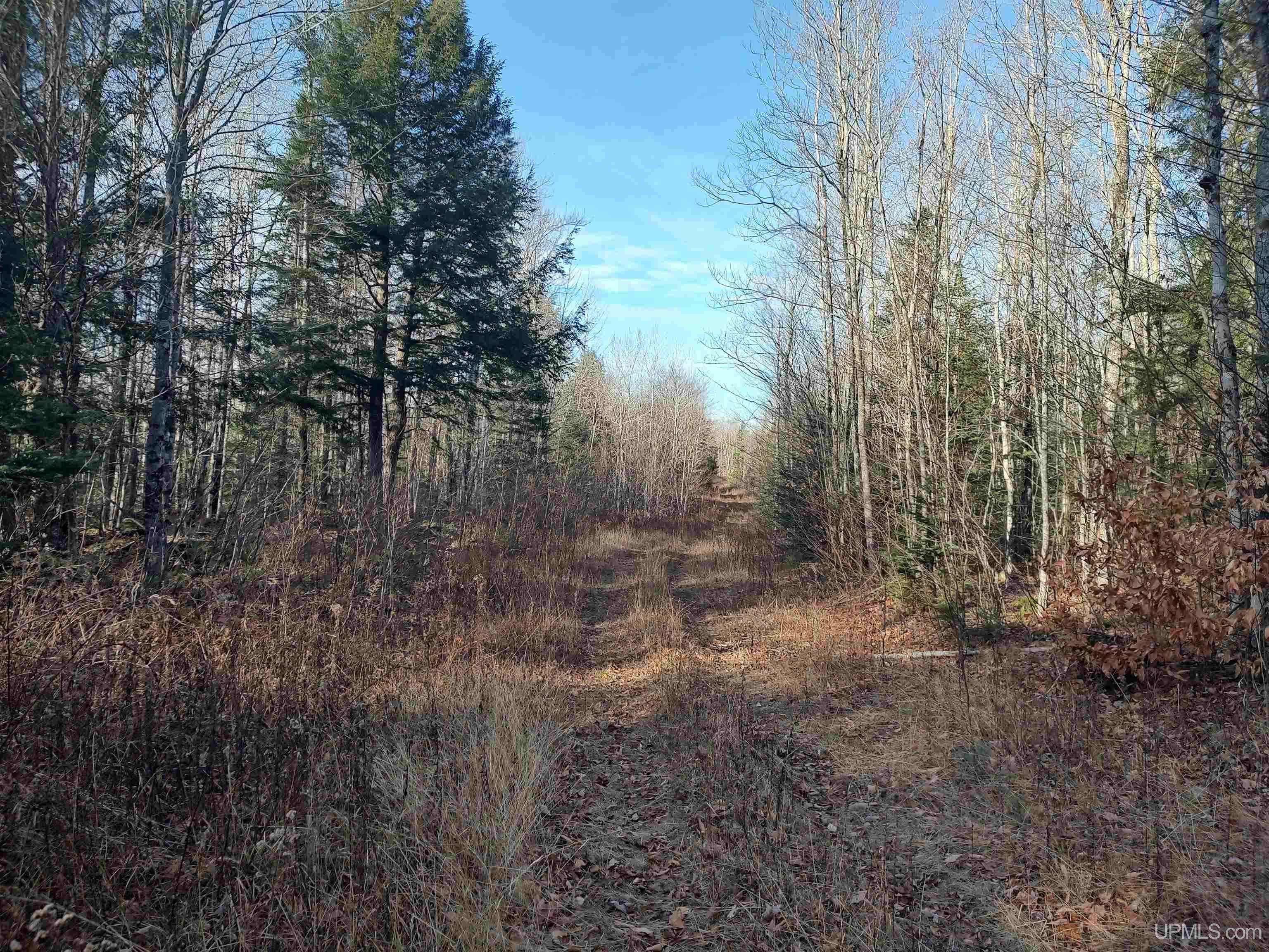 Tbd Billie Helmer Road Deerton, MI 49822 - Photo 1 of 20