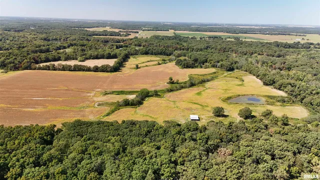 $567,867 | N Tallowtree Drive, Xenia, IL 62899