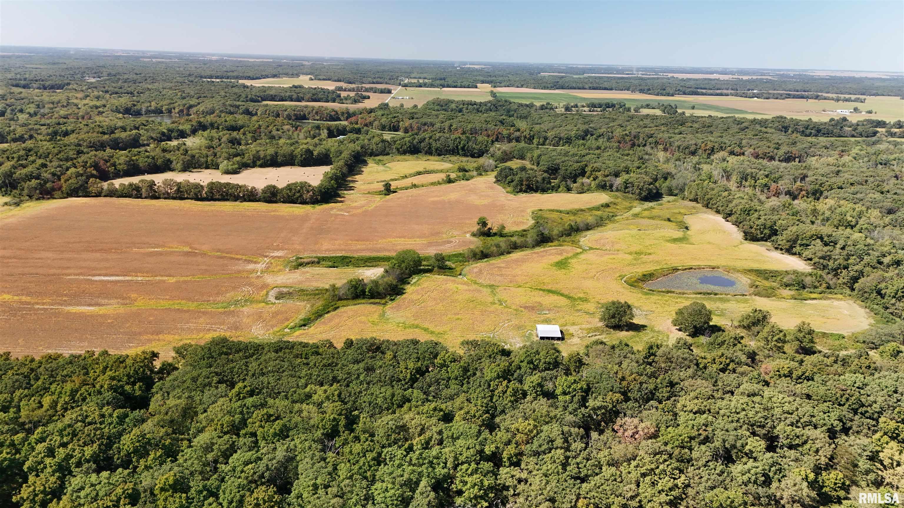 N Tallowtree Drive Xenia, IL 62899 - Photo 2 of 6