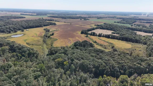 $567,867 | N Tallowtree Drive, Xenia, IL 62899