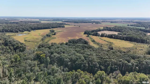 $567,867 | N Tallowtree Drive, Xenia, IL 62899