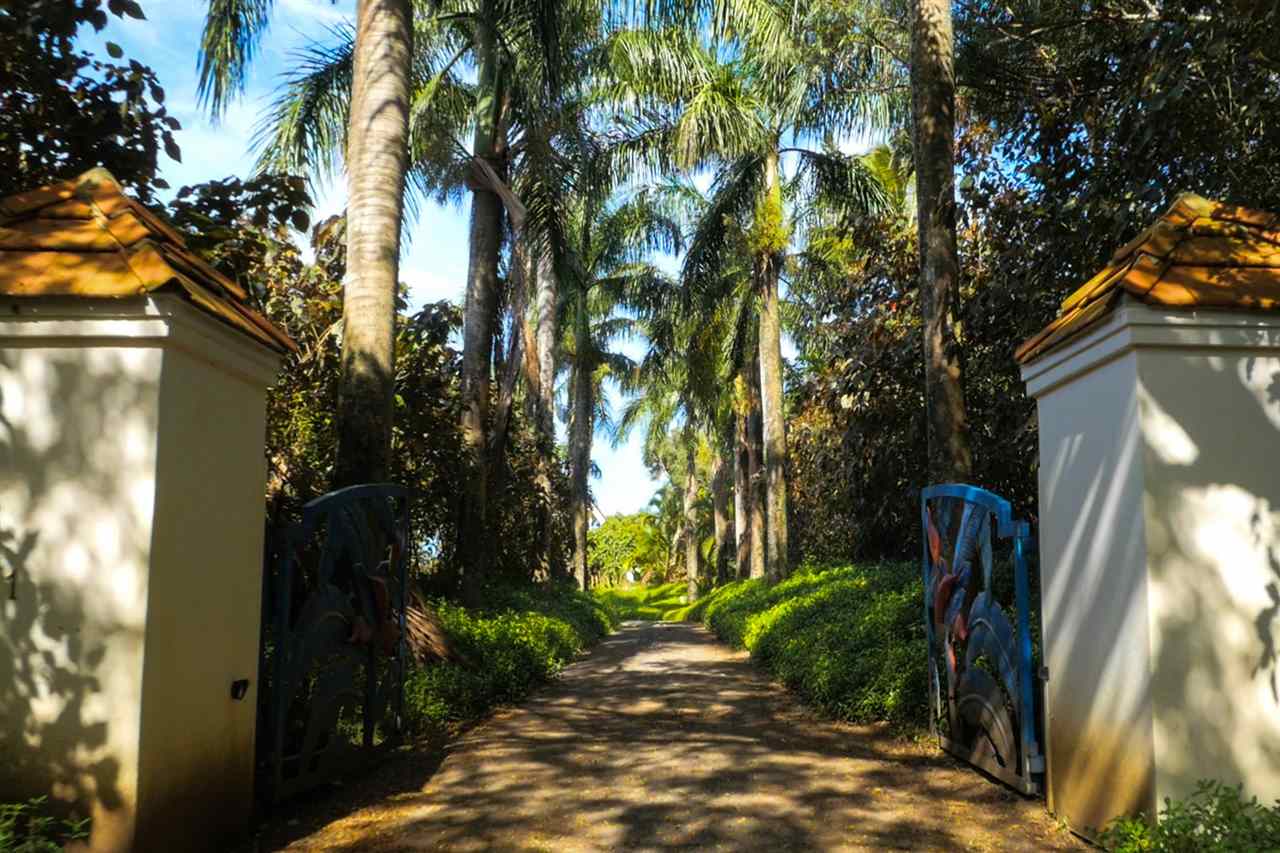 311 Door Of Faith Road Haiku, HI 96708 - Photo 3 of 30 a view of backyard