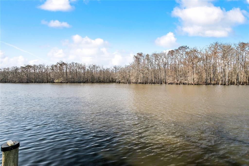 20865 Henry Road Springfield, LA 70462 - Photo 23 of 24