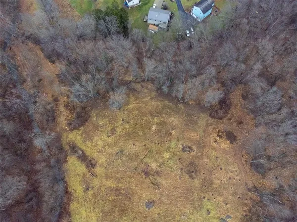 a view of a dry area with trees all around