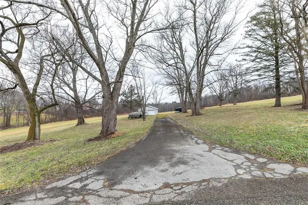a view of yard with trees