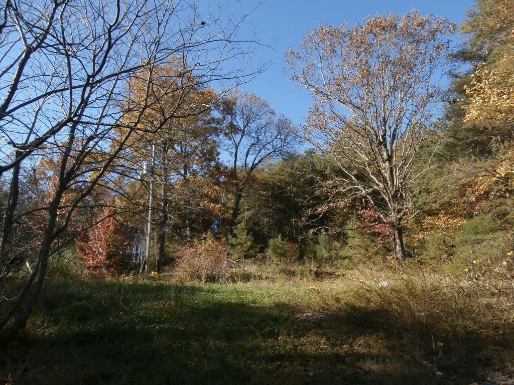 6591 Wolf Creek Road Spring City, TN 37381 - Photo 1 of 4 Gallery Image 1