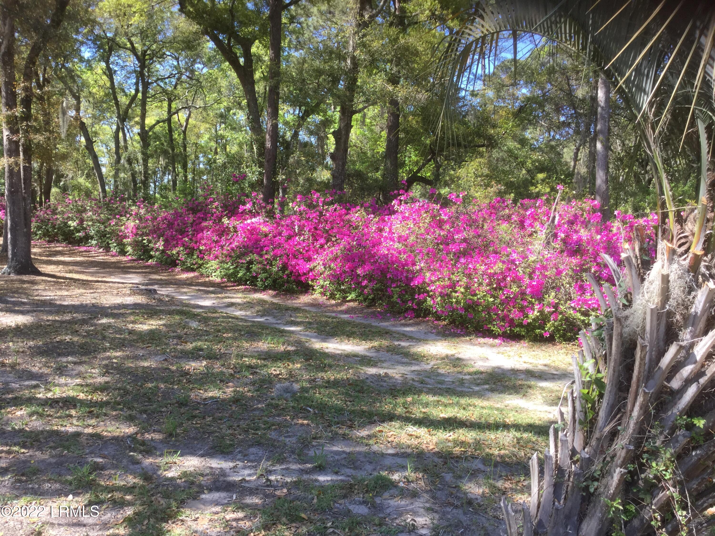 63 Cusabo Road St. Helena Island, SC 29920 - Photo 41 of 41 IMG_1525