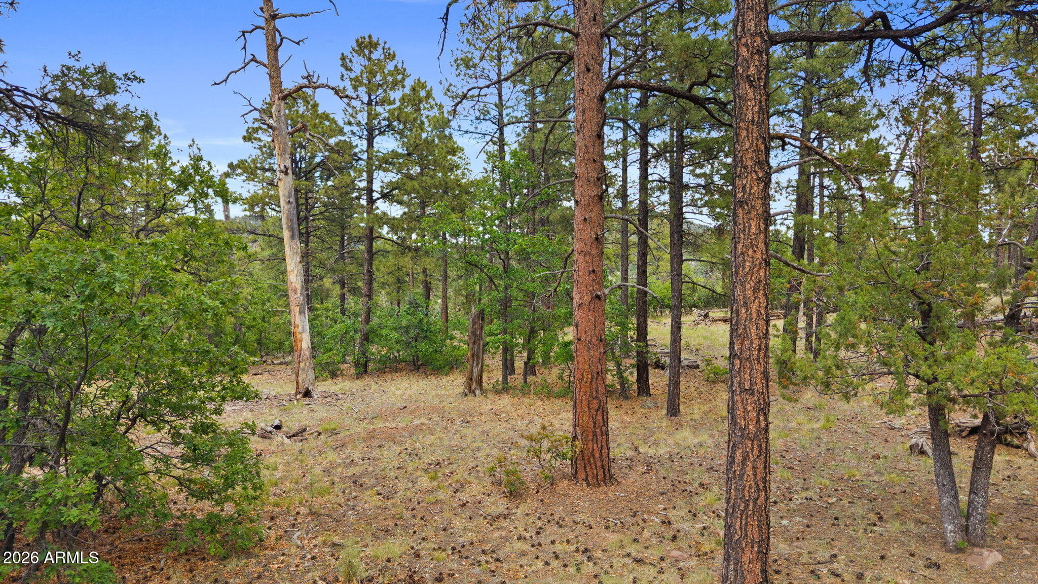 1628 Canyon View Loop, Unit 27 Williams, AZ 86046 - Photo 2 of 27
