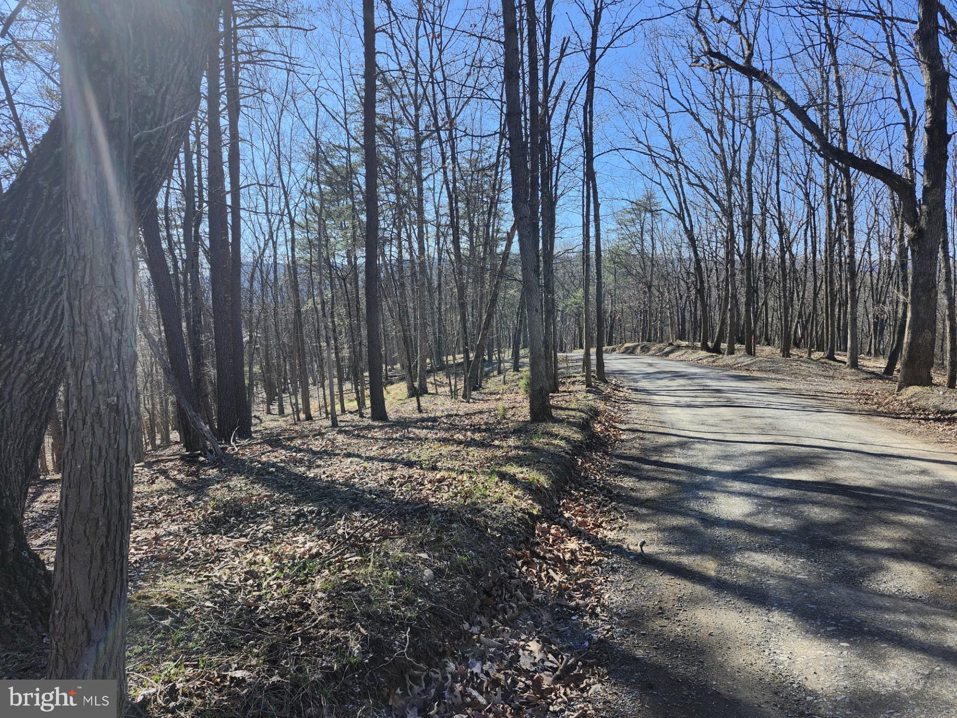 A J Kelley Road Old Fields, WV 26845 - Photo 45 of 65