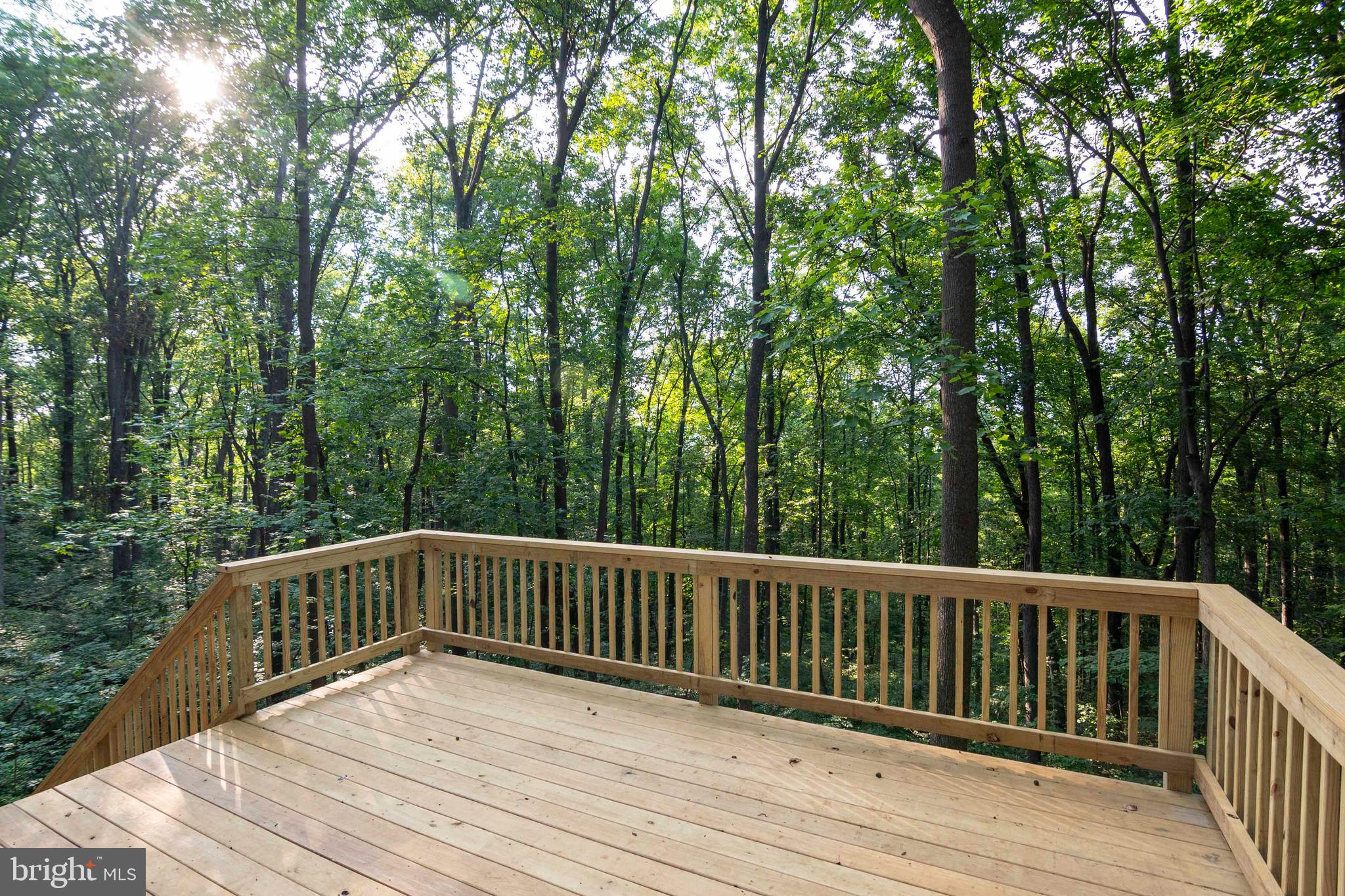 111 Bloodroot Road Front Royal, VA 22630 - Photo 23 of 60 Gallery Image 23