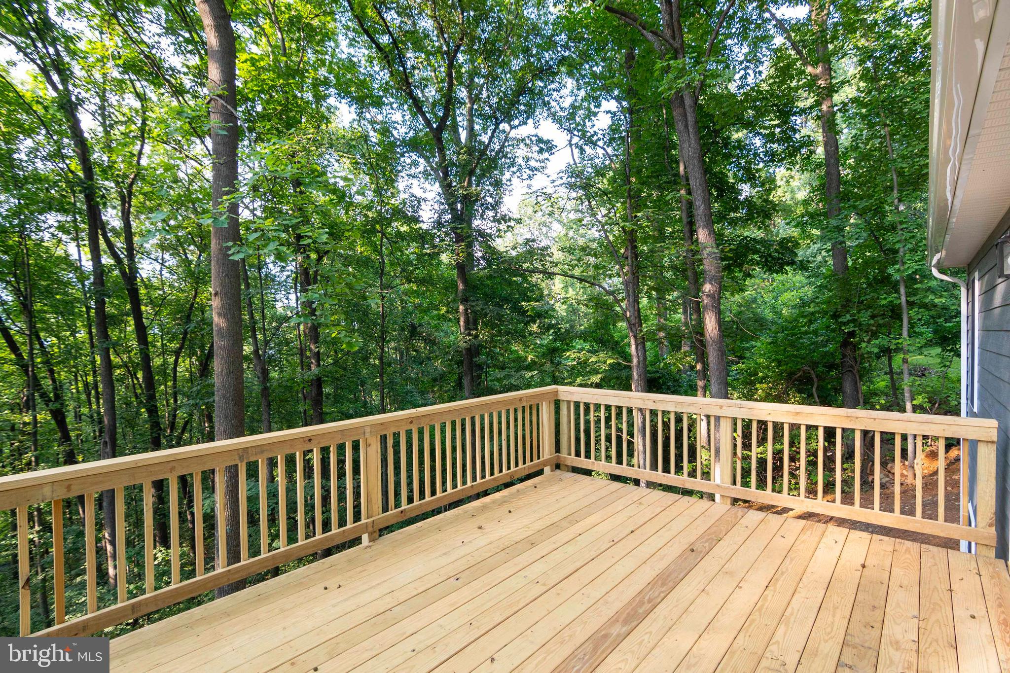 111 Bloodroot Road Front Royal, VA 22630 - Photo 24 of 60 Gallery Image 24