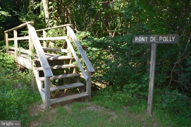 a view of a lake in a forest