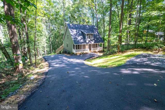 a view of a yard with plants and trees