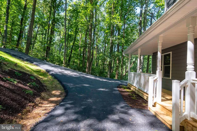 a view of a backyard with large trees and wooden fence