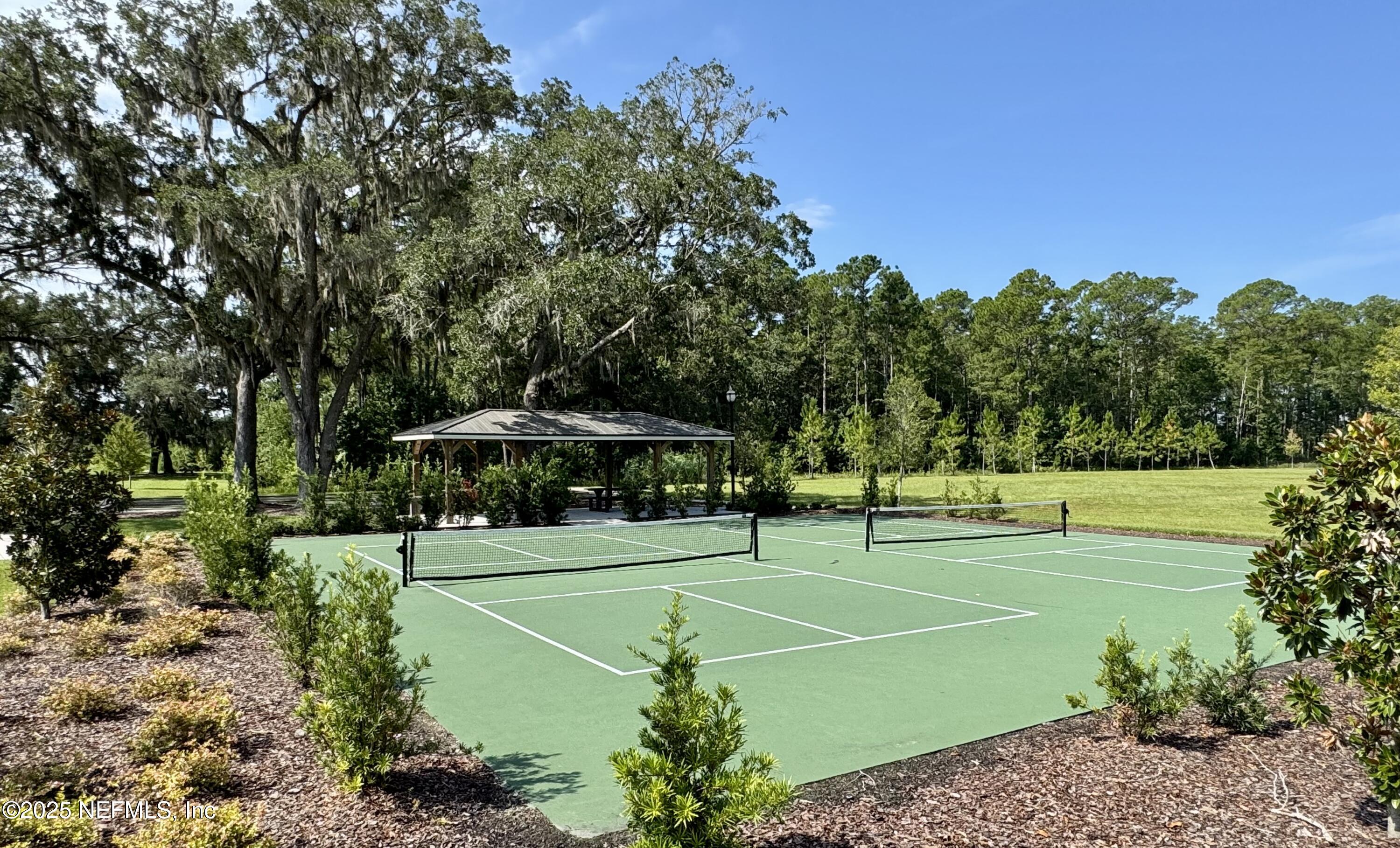 163 Pine Forest Court St. Augustine, FL 32092 - Photo 75 of 85 a view of a tennis ground with large trees