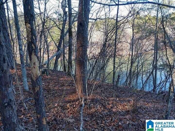 Franklin Ferry Road, Unit 17 Oakman, AL 35579 - Photo 11 of 22