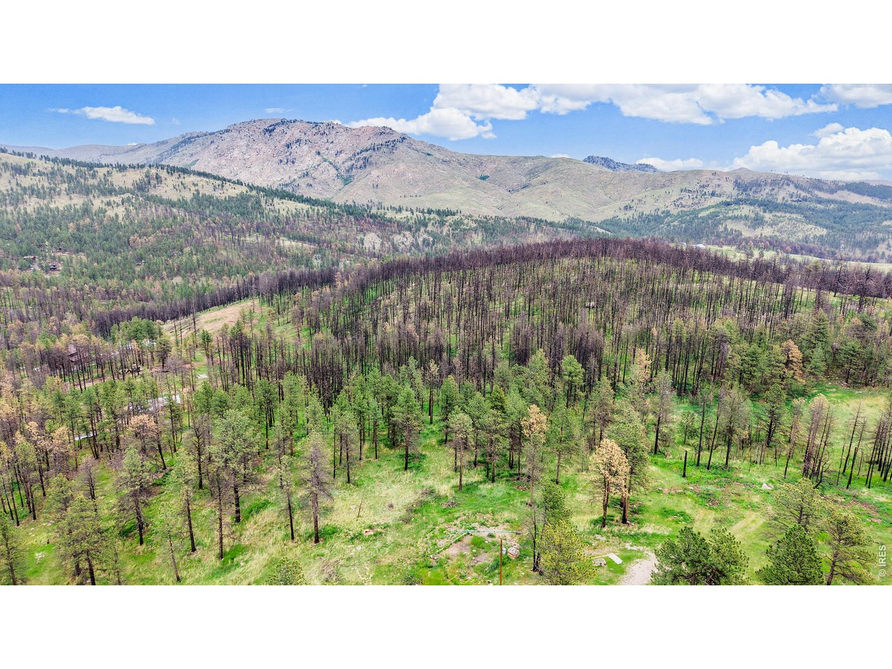 179 Green Ridge Road Loveland, CO 80537 - Photo 13 of 13 Views from the property looking N.
