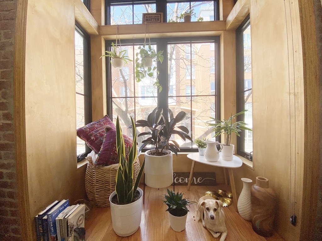 139 Border Street, Unit 2B Boston, MA 02128 - Photo 5 of 24